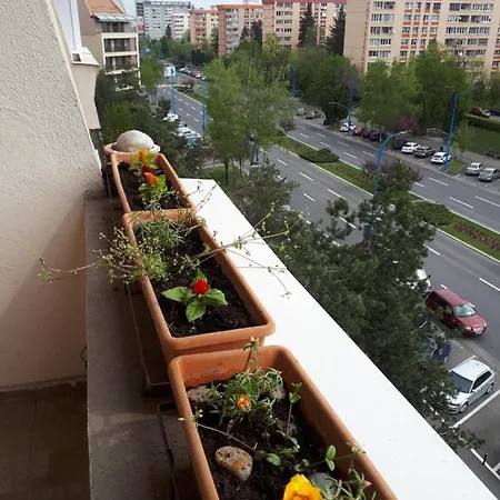Victoriei Брашов