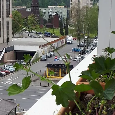 Апартаменти Victoriei *